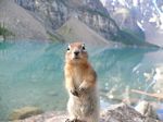 Cdn Rockies Adventure (Aug 2010) - Banff - 004
